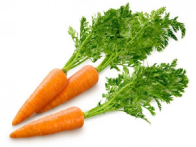 Сверхкритический CO2 экстракт моркови (витамин Е не менее 2%, каротиноиды 400мг%)